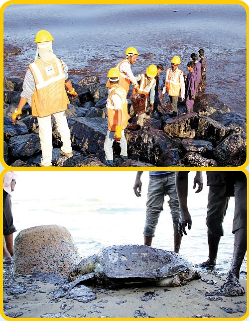 மீனவர்களுக்கு எமனாகும் எண்ணெய்! - கப்பலைக் காப்பாற்ற கொட்டப்பட்டதா கச்சா?