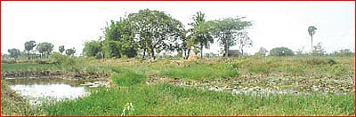ஆலயம் தேடுவோம்!