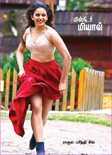 மிஸ்டர் மியாவ்
