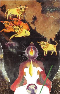 சித்தம்... சிவம்... சாகசம்! - 20