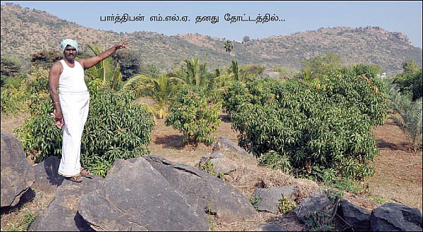 குலதெய்வம்... பசுமை விகடன்...!