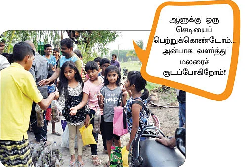 கோடையைக் கொண்டாடினோம்! - ‘நாற்றங்கால்’ திருவிழா