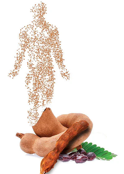 ஆயிரம் சூரியன் ஆயிரம் சந்திரன் ஒரே ஒரு பூமி - 30