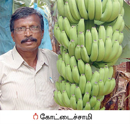 கிலோ 4 ரூபாய்... வரலாறு காணாத விலை வீழ்ச்சி...