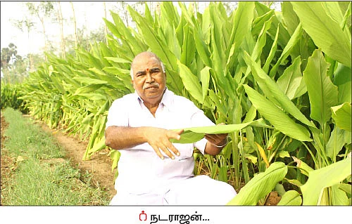 பஞ்சகவ்யா - 5