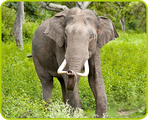 உயிர் பிழை - 23