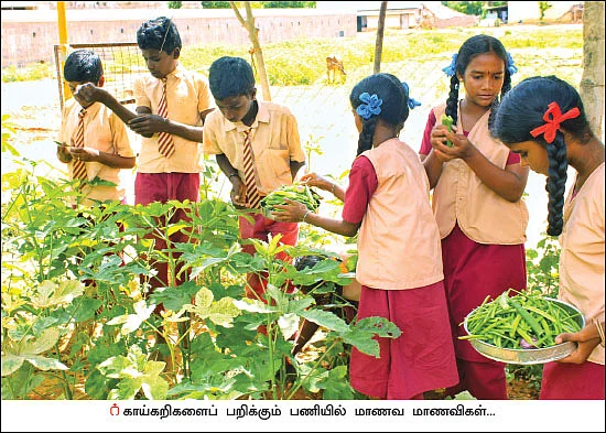 பள்ளியில் காய்கறித் தோட்டம்... அசத்தும் அரசுப்பள்ளி மாணவர்கள்!