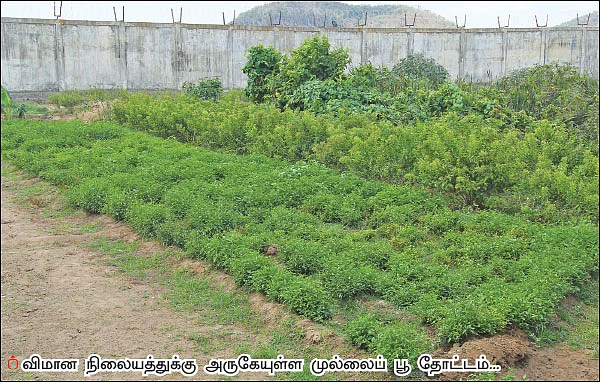 வளமான வருமானம் கொடுக்கும் முல்லைப் பூ!