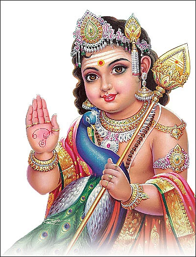 விழாக்கள் / விசேஷங்கள்