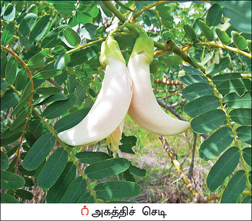 மண்புழு மன்னாரு: “பேராசிரியர்களும் விவசாயம் செய்ய வேண்டும்!”