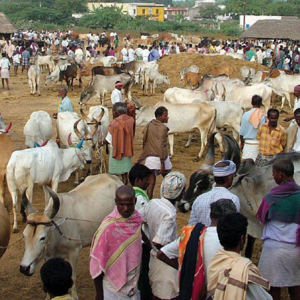 நம்ம ஊரு நம்ம மண் - நம்ம ஊரு இடங்கள்