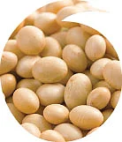 அக்ரி கமாடிட்டி!