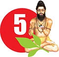 சித்தம்... சிவம்... சாகசம்! - 5