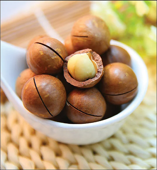 டாக்டர் நியூஸ்