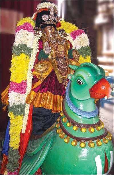 அல்லிக்கேணியில் அழகுத் திருக்கோலம்!