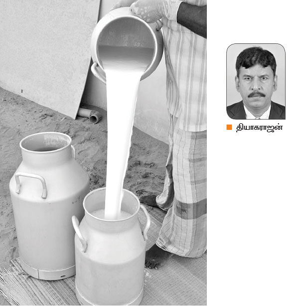 நீங்கள் கேட்டவை : பால் பண்ணைத் தொழிலுக்கு பயனுள்ள பயிற்சிகள்!