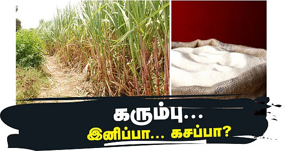 கரும்பு... இனிப்பா... கசப்பா?