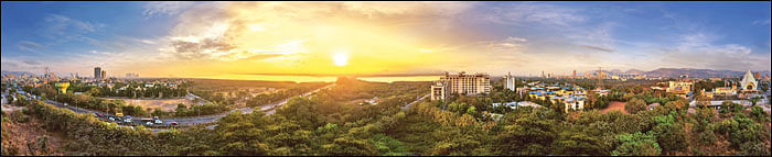 கம்பெனி டிராக்கிங்