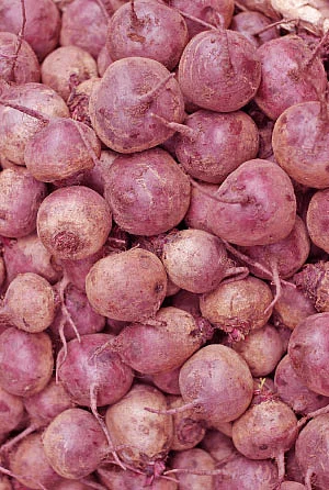 இயற்கை டாக்டர்