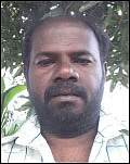 நீங்கள் கேட்டவை: குறைந்த விலையில் மரக்கன்றுகள் எங்கு கிடைக்கும்?
