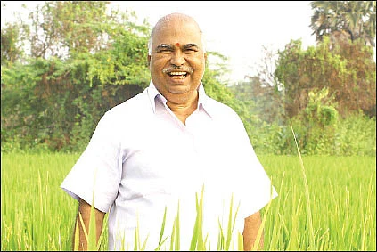பஞ்சகவ்யா! - 19 - மாடித்தோட்டத்திலும் மகத்தான மகசூல்!