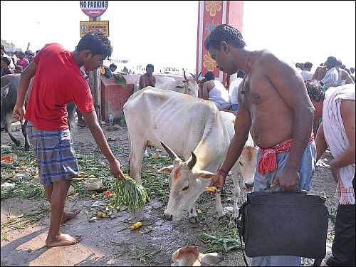 ஆடி அமாவாசை - பித்ரு தோஷம் தீர்க்கும் முன்னோர் ஆராதனை