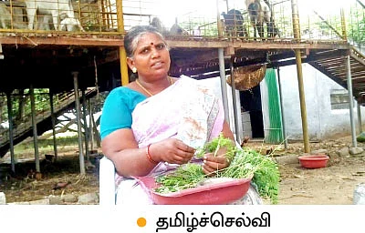 4 ஏக்கரில் ரூ3,00,000 அள்ளிக் கொடுக்கும் ஒருங்கிணைந்த பண்ணை!