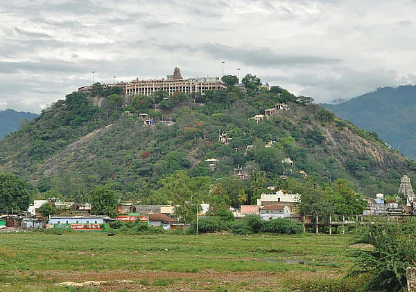 நாரதர் உலா