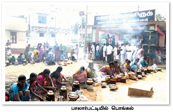 பென்னி குக் பொங்கல்!