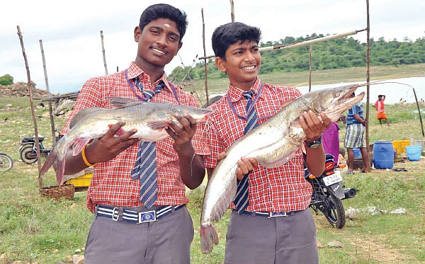 மீன்களும் நாங்களும்...