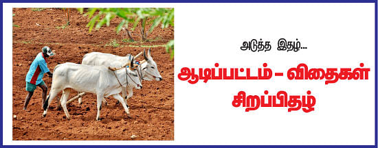 மண்ணுக்கு மரியாதை! - 09