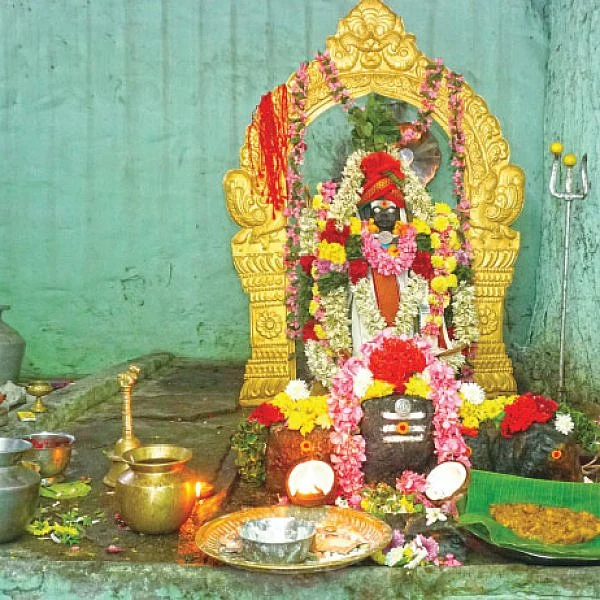 உறவுகளை ஒன்று சேர்க்கும் வனபோஜனம்!