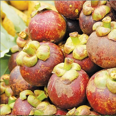 வைத்தியம் - மருத்துவ குணங்கள் நிறைந்த மங்குஸ்தான்!