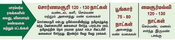 சீரக சம்பா, கிச்சிலி சம்பா, சொர்ணமசூரி...