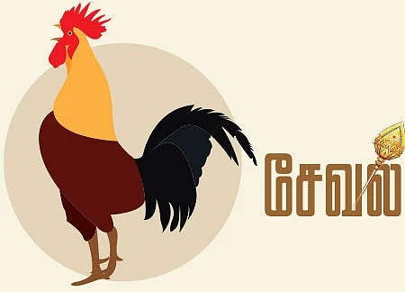 ஆஹா... ஆன்மிகம்! - சேவல்