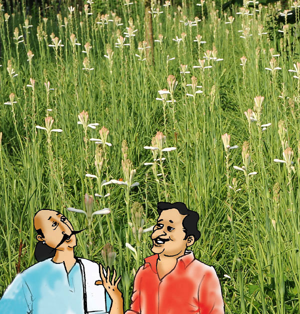 மண்புழு மன்னாரு: லட்ச ரூபாய் செலவில்... சம்பங்கி தந்த அனுபவப் பாடம்!