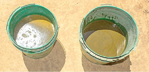 இயற்கை தர்பூசணி...