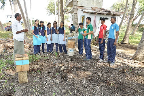 வயலுக்குச் சென்றோம் விவசாயம் படித்தோம்!