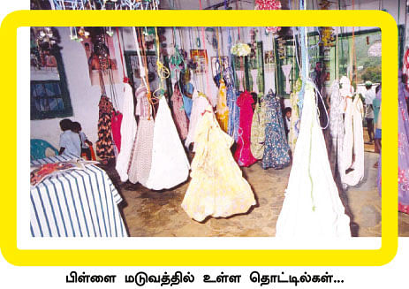 கவாத்துக்குத் தப்பிய செடிகள்!