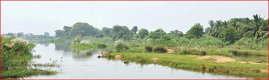 திருமாலின் திருக்கரங்களில் இரண்டு சங்குகள்; இரண்டு சக்கரங்கள்!
