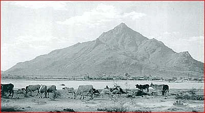 ஸ்ரீரமண மகரிஷி