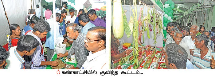 விளைச்சலை அதிகரிக்கும் அற்புத நுண்ணுயிரிகள்!