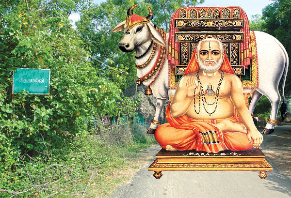 சித்தமெல்லாம் சித்தமல்லி - 8!