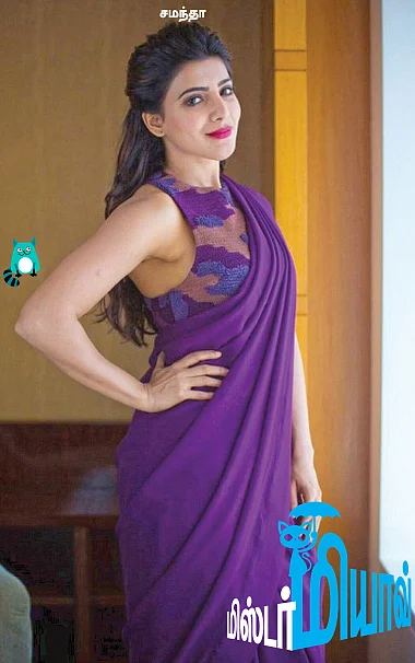 மிஸ்டர் மியாவ்