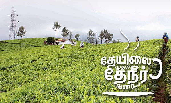 நீலகிரியிலிருந்து ஒரு நேரடி ரிப்போர்ட்!