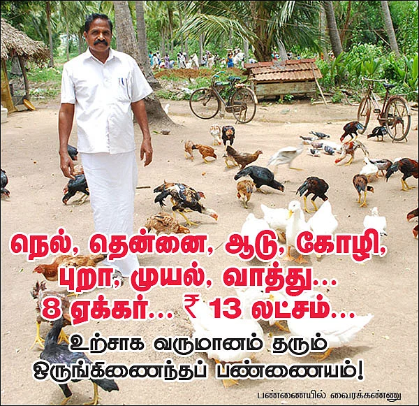 நெல், தென்னை, ஆடு, கோழி, புறா, முயல், வாத்து... 8 ஏக்கர்... 13 லட்சம்...