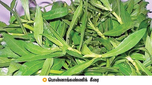 நலம் 360’ - 26