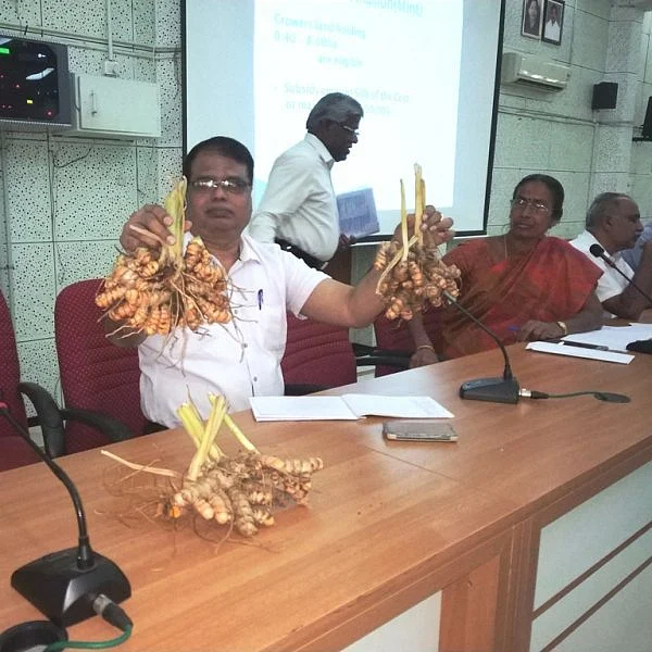 `பிரகதி மஞ்சள் பற்றித் தெரியுமா’- 6 மாதத்தில் அட்டகாசமான மகசூல்