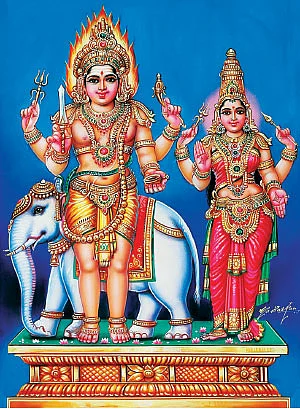 கஷ்டங்கள் தீர்க்கும்... பைரவ தரிசனம்!
