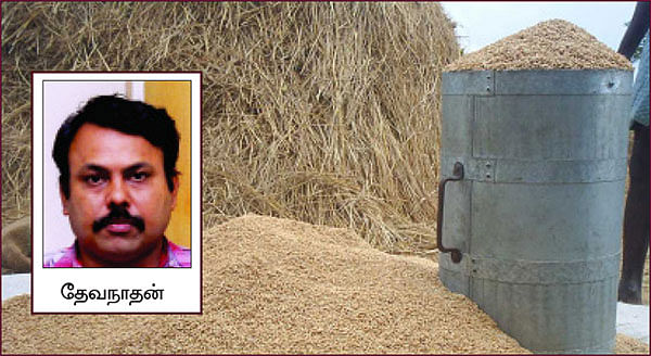 நீங்கள் கேட்டவை - ஈரப்பத விதை நெல்... எளிதாகக் கண்டறிவது எப்படி?